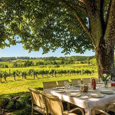 Villa Splendide Au Coeur Des Vignes