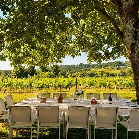Splendide Au Coeur Des Vignes Francs